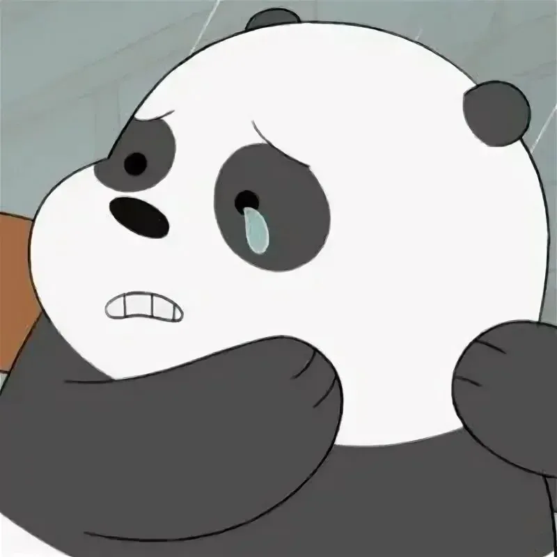 100+ ảnh meme gấu trúc hài hước, đáng yêu · ảnh 3