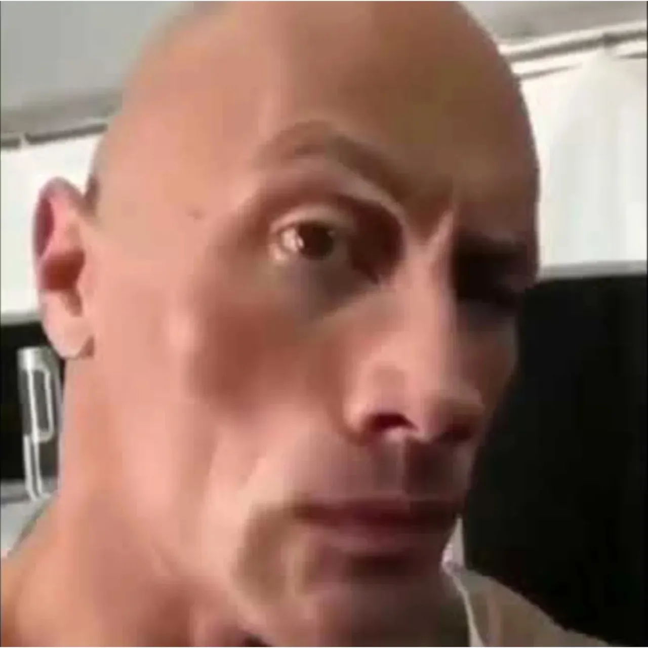 200+ ảnh the rock meme hài hước khiến bạn bật cười không kiểm soát · ảnh 3