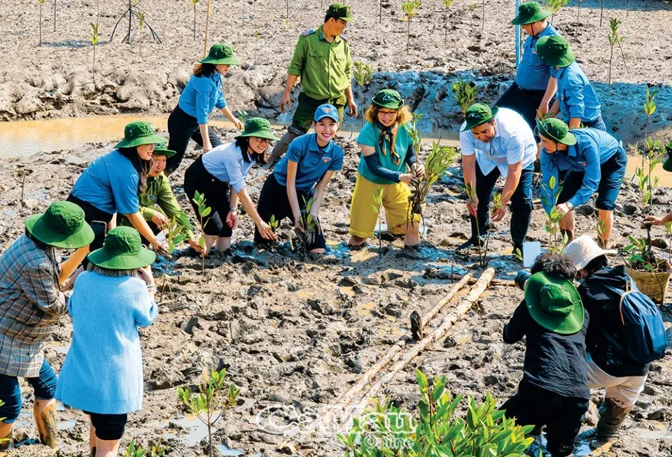 50+ ảnh bảo vệ môi trường đẹp mắt · ảnh 3