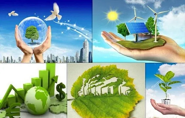 50+ ảnh bảo vệ môi trường đẹp và truyền cảm · ảnh 1
