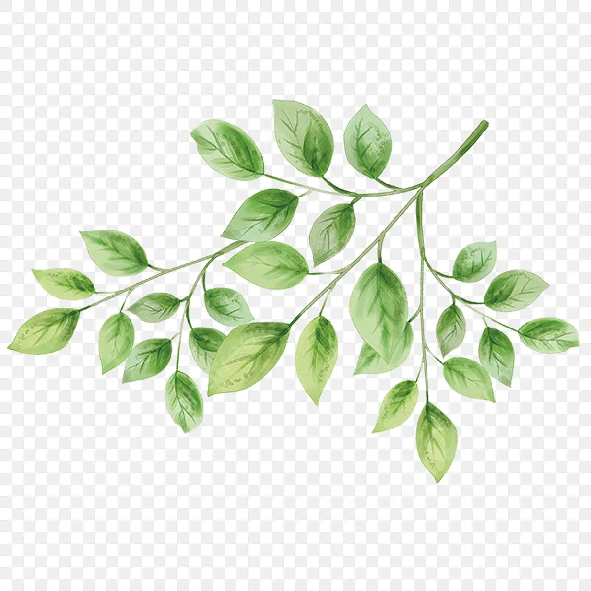 Bí Kíp Biến Lá Cây Vẽ Như Thật Chỉ Sau Một Đêm Tự Học · ảnh 2