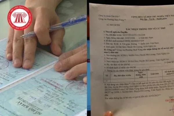 Mẫu tờ khai thay đổi thông tin cư trú — tổng hợp ảnh đẹp cập nhật 2026 · ảnh 3