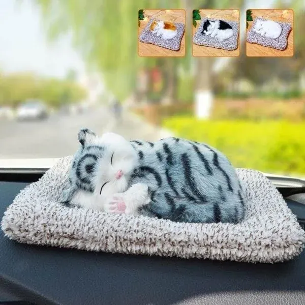 Tuyển tập 100+ ảnh chế mèo meme hài hước nhất · ảnh 3